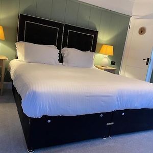 Family King Room